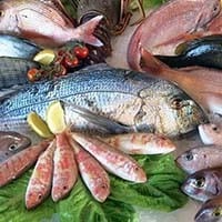 frozen_seafood_200px_opt
